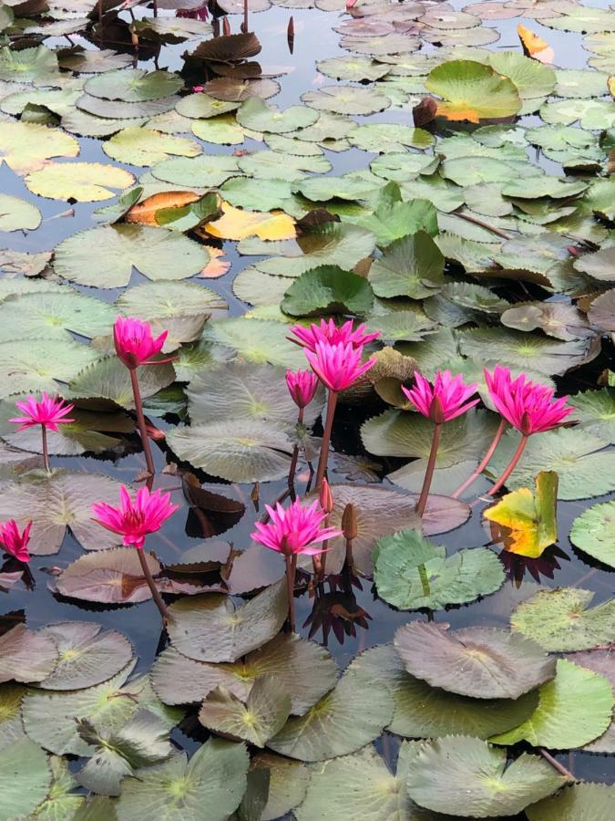 Milin Villa Resort Ban Yang  외부 사진